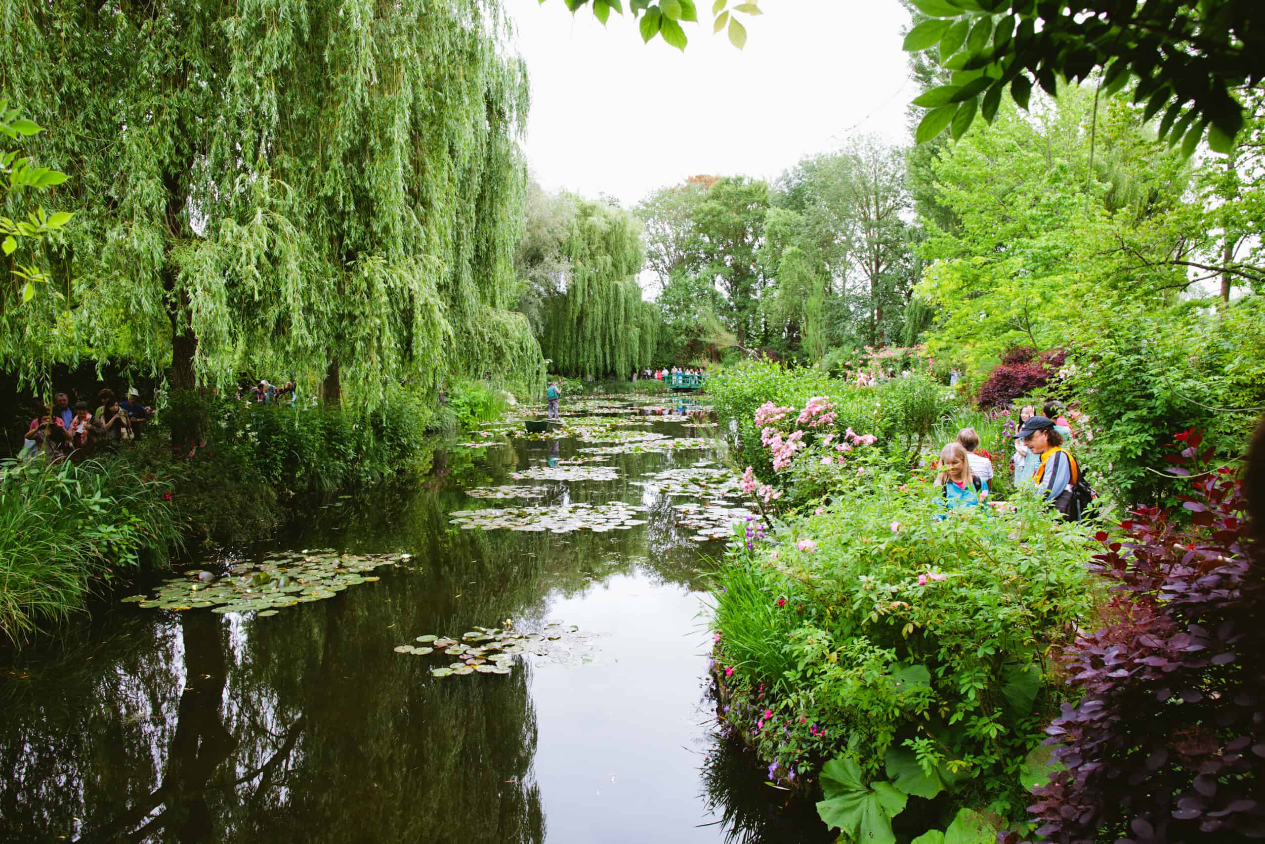 Monet Garden Lillies