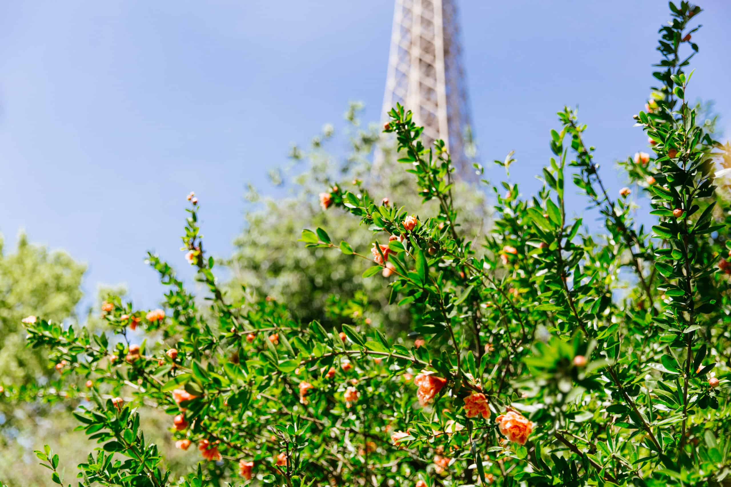 La Tour Eiffel in Paris, France