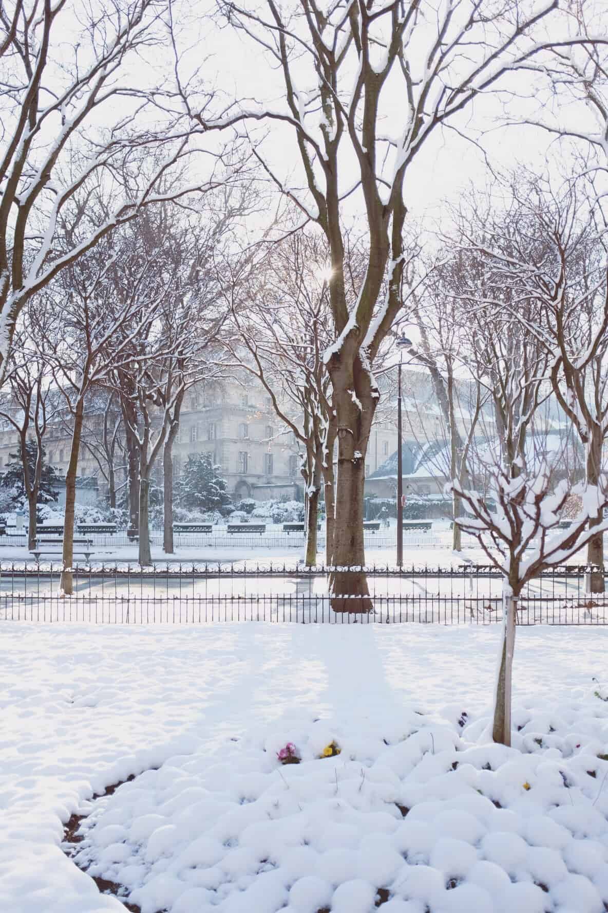 The incredible snow week in Paris - February 2018.