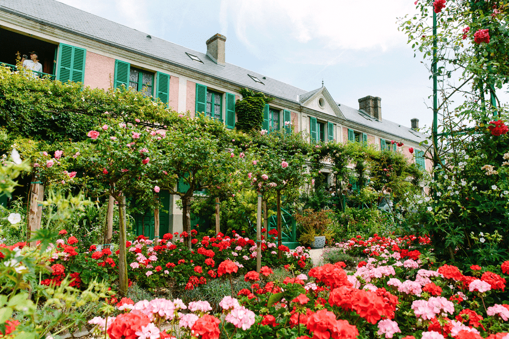 flowers at monet's garden house