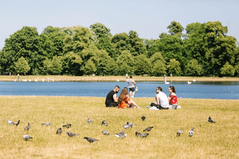 A group of people sit and enjoy a picnic in the grass at Hyde Park, London