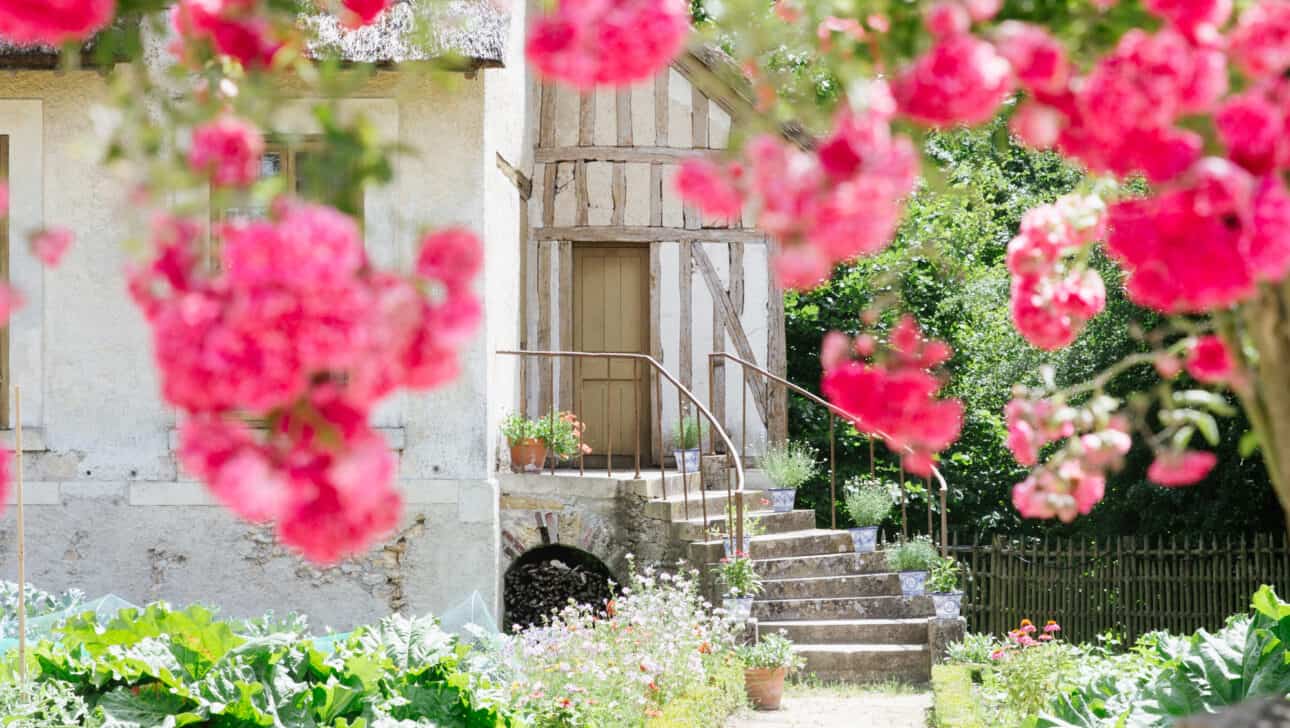 Pink flowers in Marie-Antoinette's Hamlet on the Versailles Bike Tour.