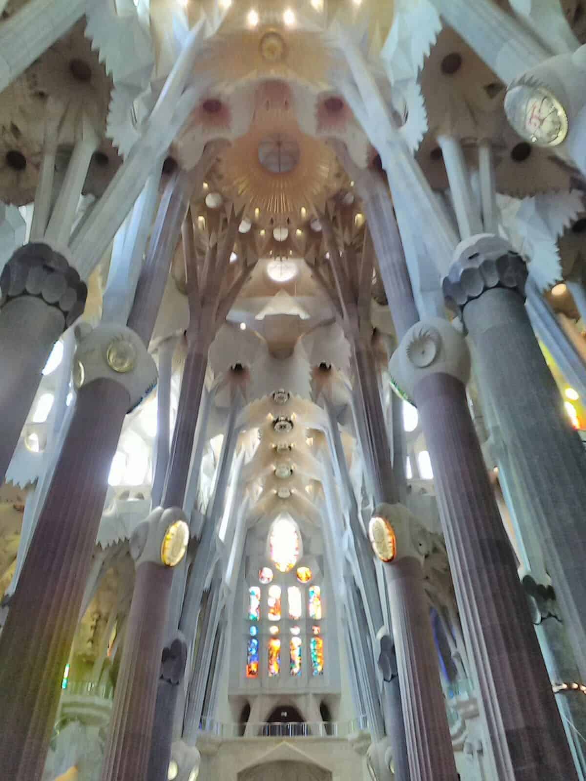 The high ceiling inside the Sagrada Familia in Barcelona, Spain