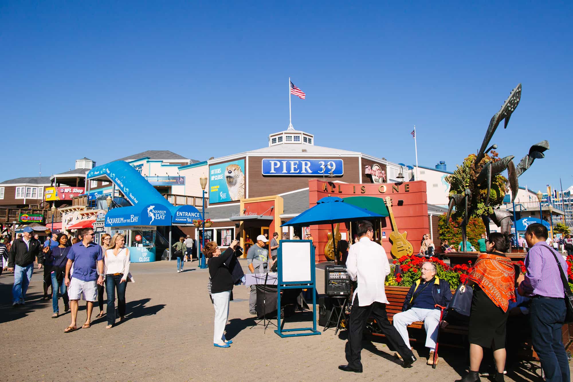 San Francisco, Attractions, Pier 39, San-Francisco-Pier-39-Slider1.