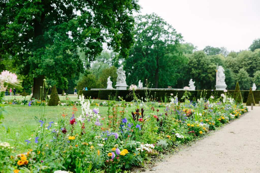 brightly colored flowers in Potsdam, Germany