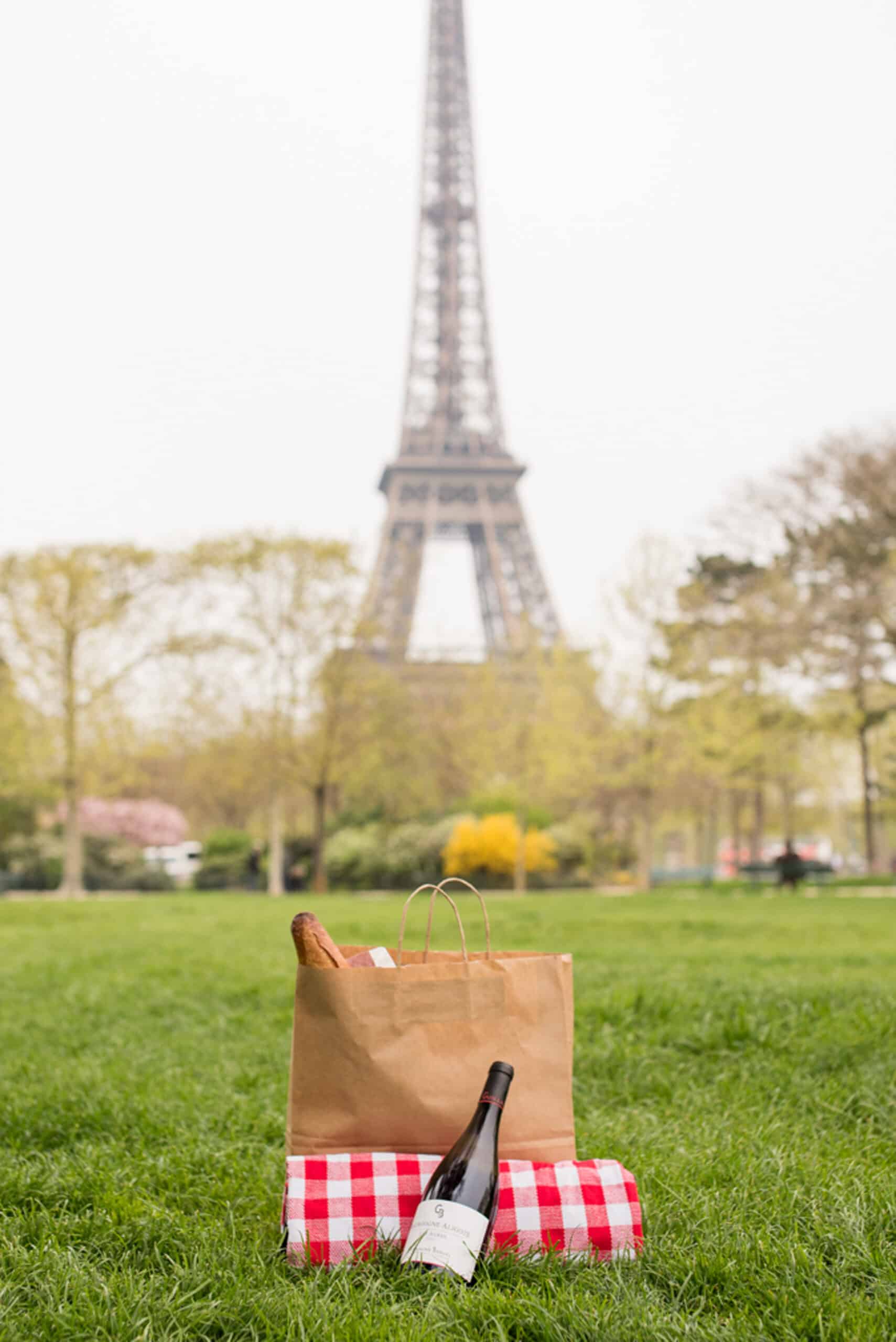 Paris, Third Party Tours, Picnic In Paris, Hero Sliders, Third-Party-Tours-Picnic-In-Paris-Hero-Slider-4-Medium.