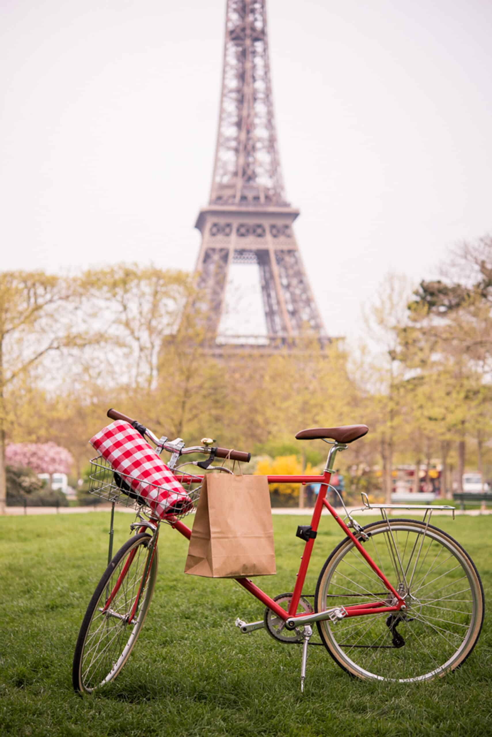 Paris, Third Party Tours, Picnic In Paris, Hero Sliders, Third-Party-Tours-Picnic-In-Paris-Hero-Slider-5-Medium.