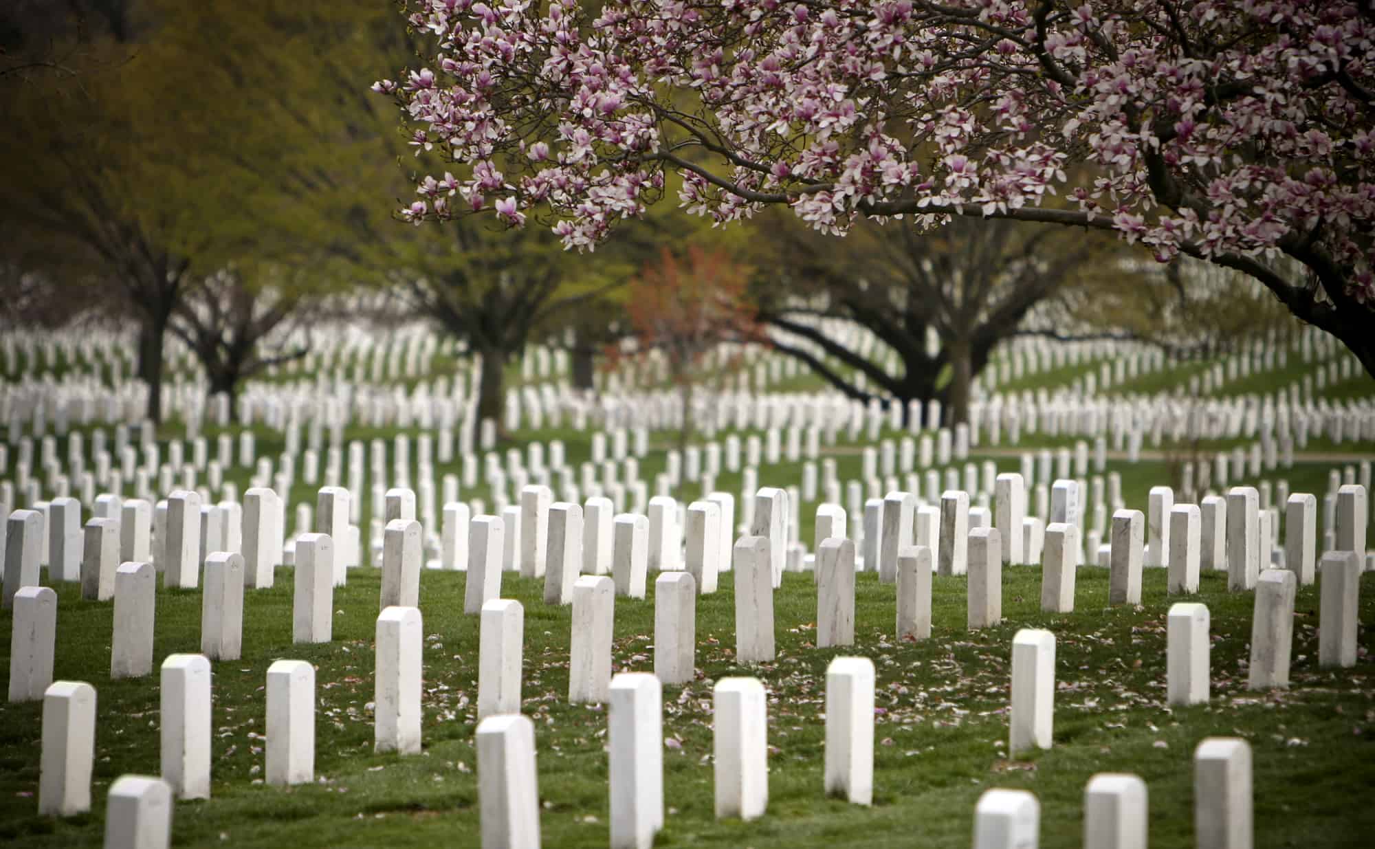 Washington Dc, Attractions, Arlington National Cemetery, Washington-Dc-Arlington-National-Cemetery-Slider1.