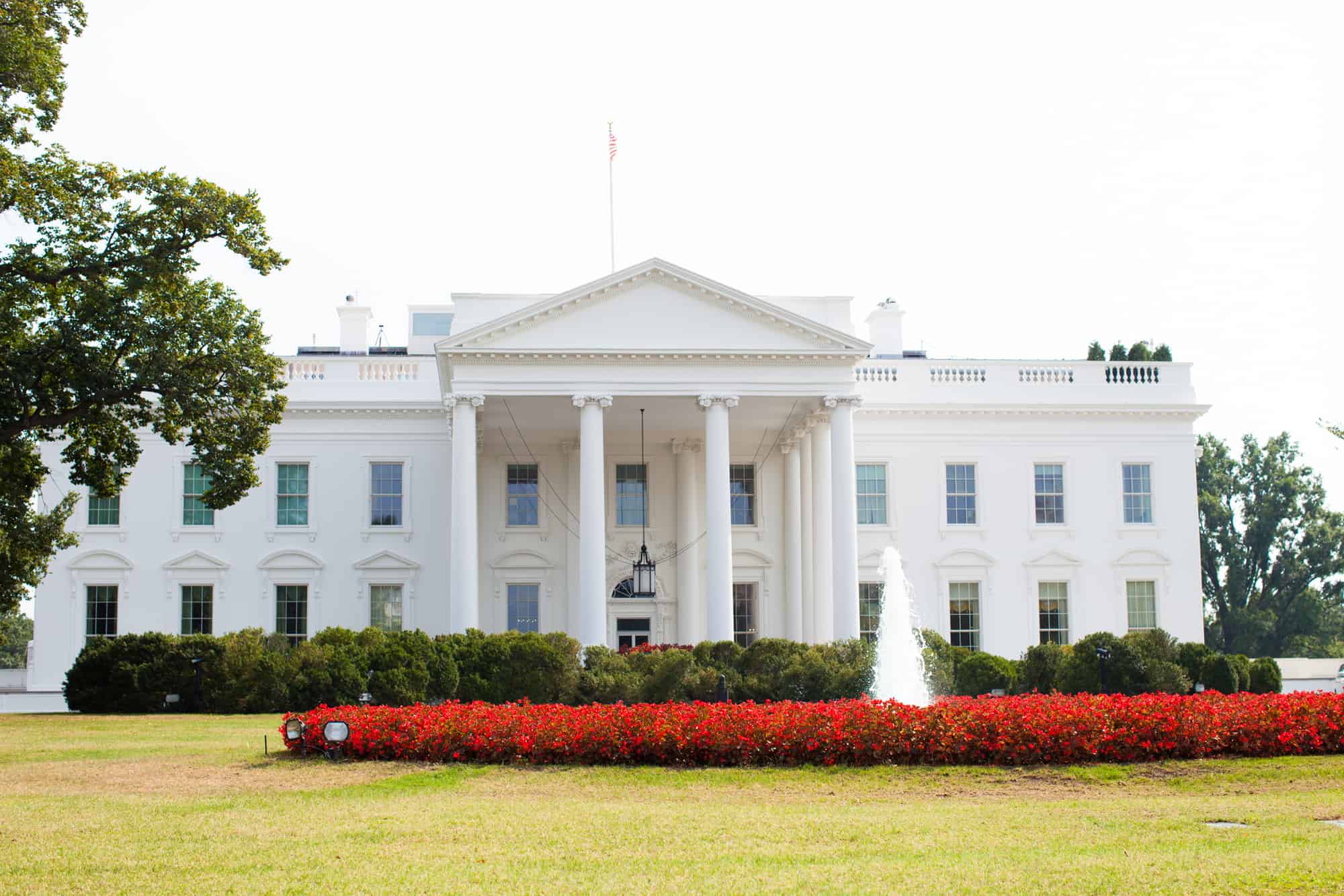 Washington Dc, Day Bike, Highlights, Washington-Dc-Day-Bike-White-House.