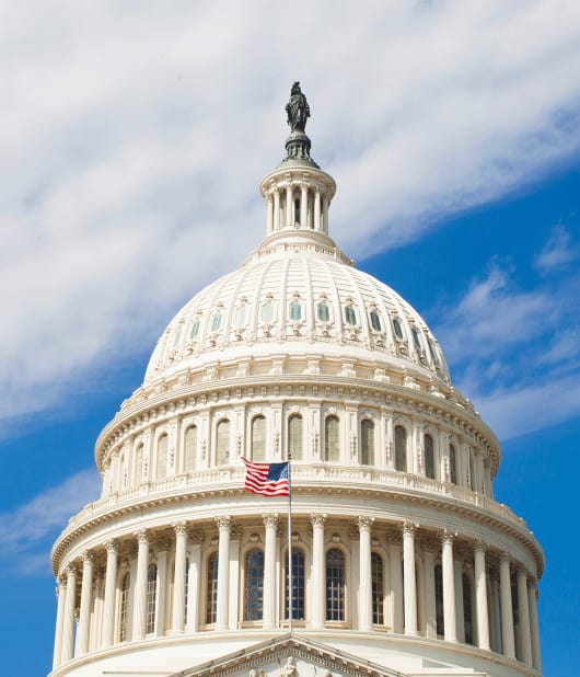 The Capitol Building in Washington, D.C.