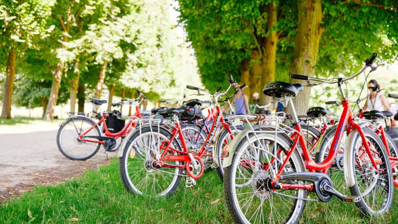 Bikes lined up in the grass