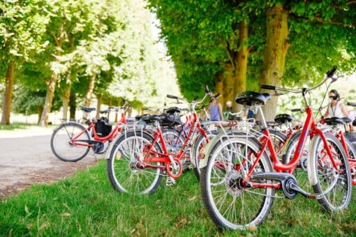 Bikes lined up in the grass