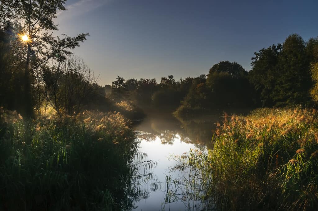 A lake in Rixdorf, Berlin