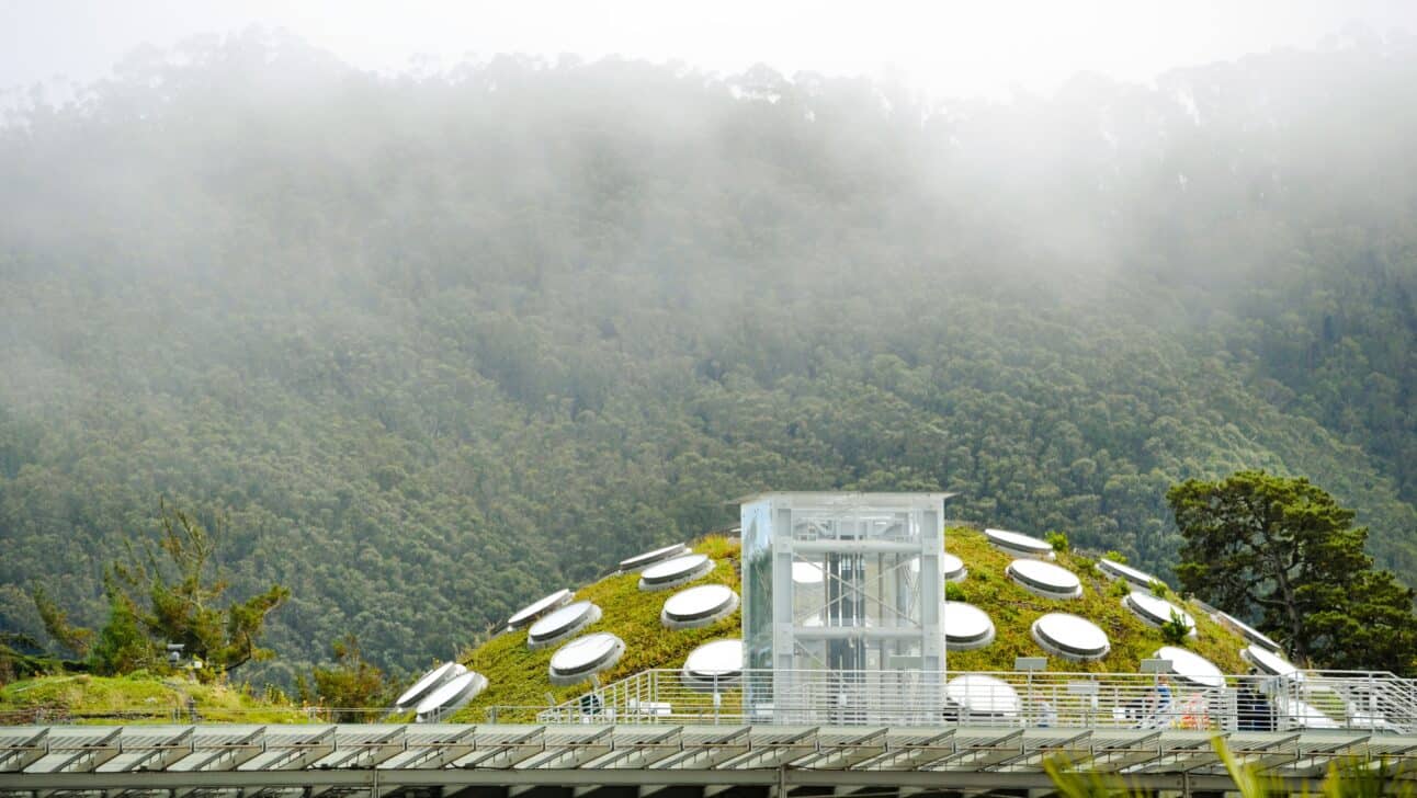 The lookout spot from the California Academy of the Sciences in Golden Gate Park, San Francisco, California