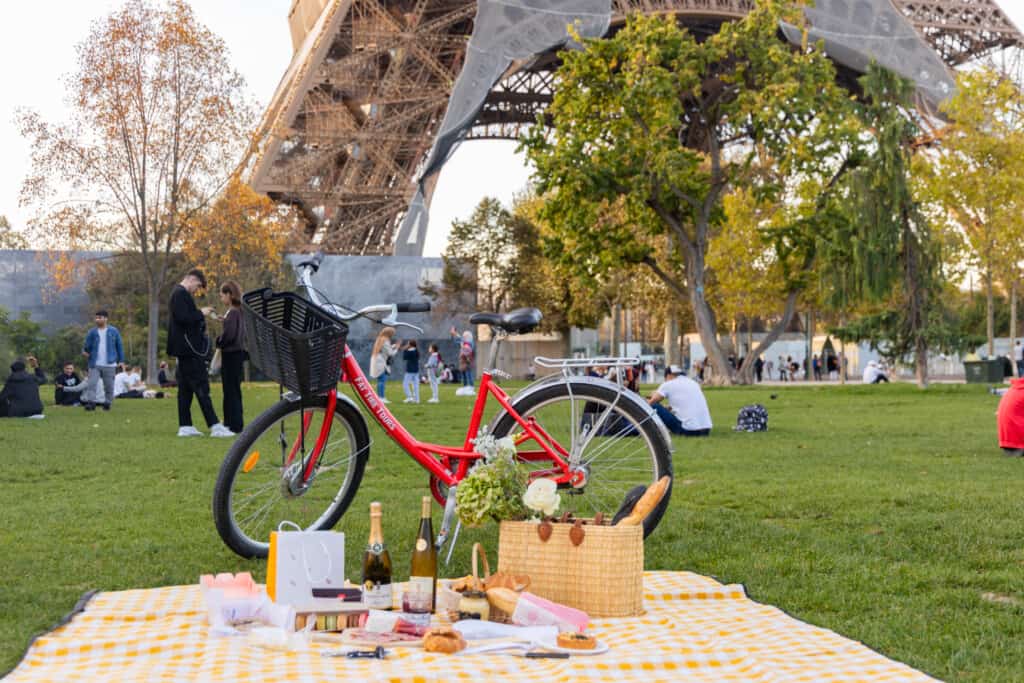 A bike sits near a picnic in front of the Eiffel Tower