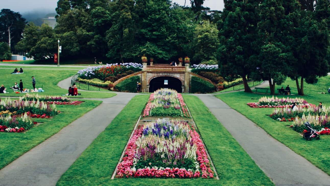 The Botanical Gardens in San Francisco's Golden Gate Park