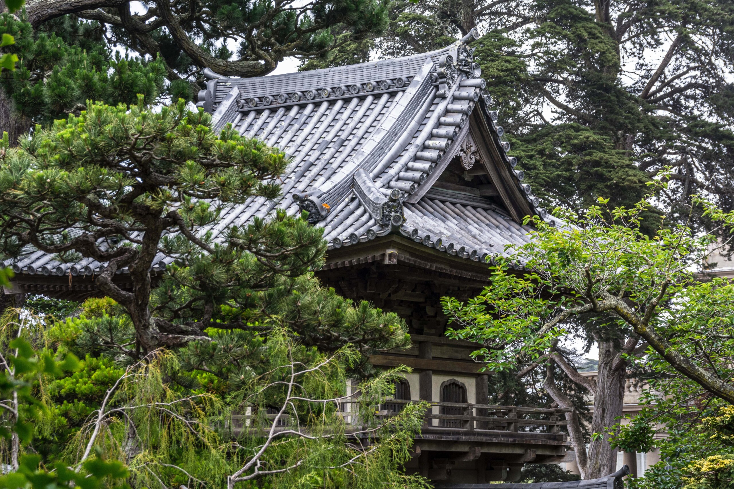 Japanese architecture in San Francisco's Golden Gate Park