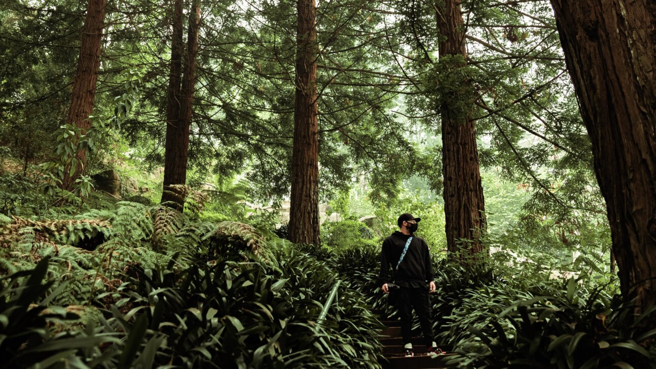 A man walks down steps on Strawberry Hill in the Golden Gate Park in San Francisco