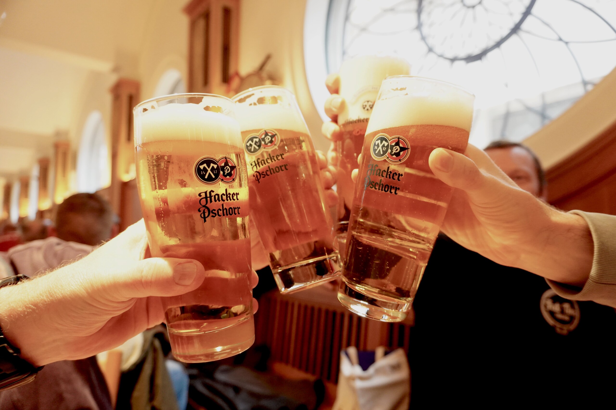 Three Hacker-Pschorr beer glasses cheers