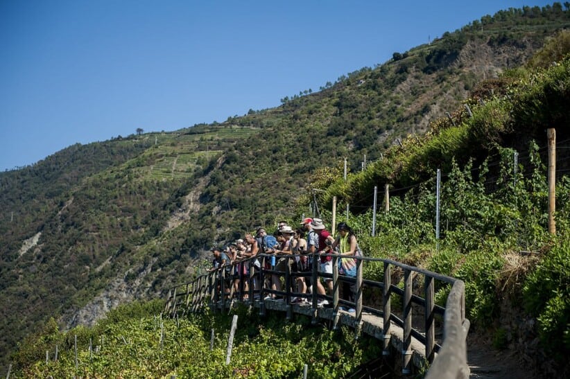 A group looks out over the cliff behind a wooden railing in Cinque Terre