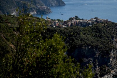 A view from the trees out towards the sea in Cinque Terre