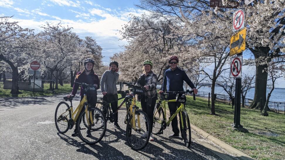 A group of 4 cyclists pose for a photo in front of the Cherry Blossoms in DC