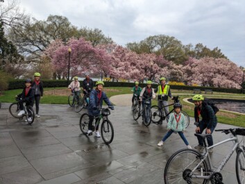 A group of cyclists on a tour in DC during the Cherry Blossom season