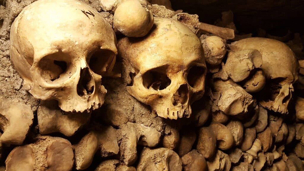 Three human skulls in the Paris catacombs