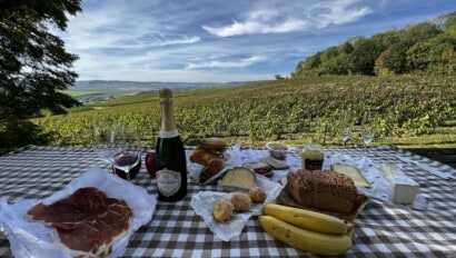picnic in Champagne region of france