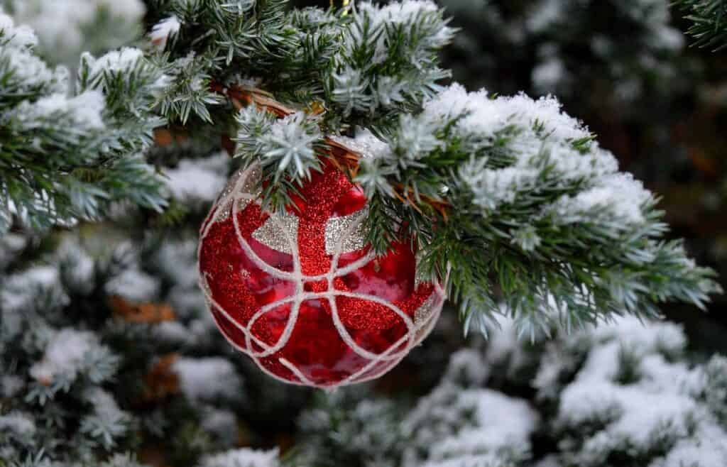 A single red ornament on an outdoor Christmas tree covered by snow