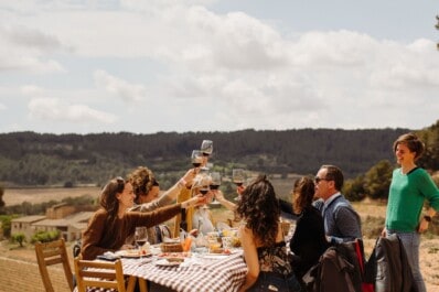 A group cheers with red wine glasses seated at a picnic table outside