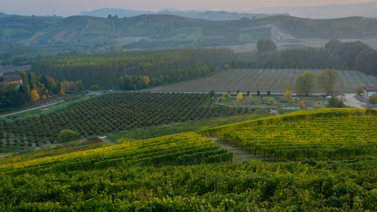 The Piedmont region of Italy