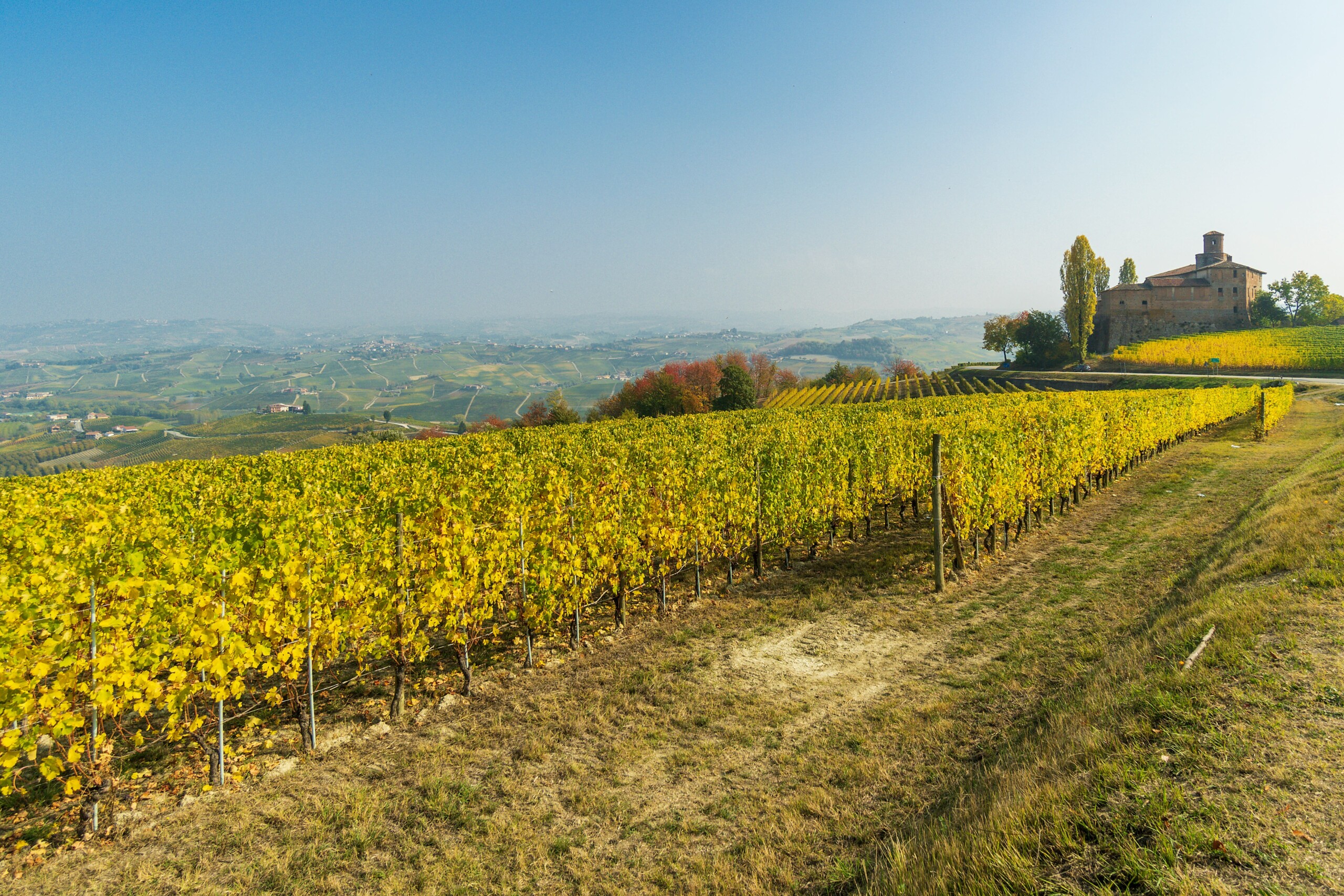 Custom Piedmont Region Wine Tasting