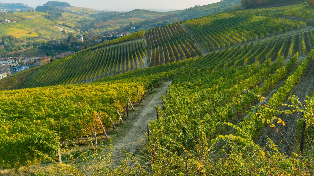 The Piedmont region of Italy