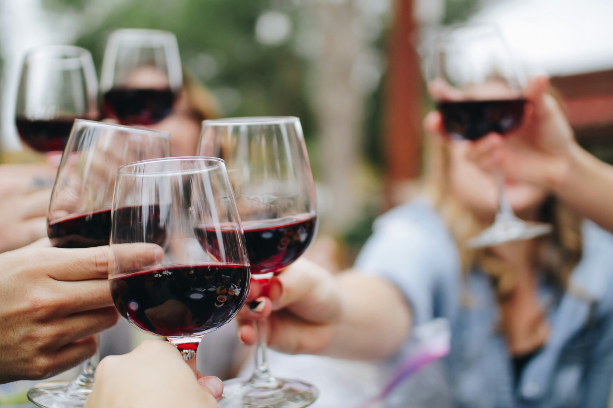 Friends cheers with glasses of red wine