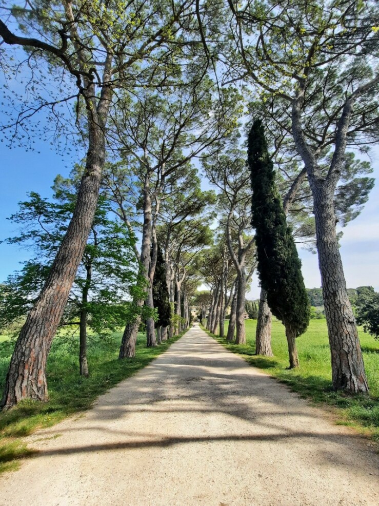 Explore Europe On Two Wheels How To Get Your International Driver s explore-europe-on-two-wheels-how-to-get-your-international-driver-s